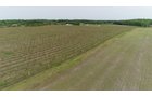 Van Buren County, Michigan farmland - LAND AUCTION - 194+/- ACRES OFFERED IN 5 TRACTS IN VAN BUREN COUNTY, MICHIGAN